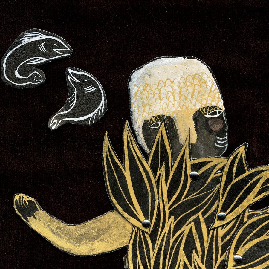 Sea monkeys essay 06 image