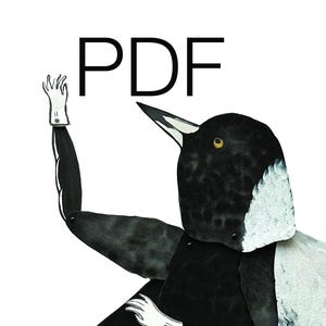 Australische Elster PDF sofort download artikuliert DIY Kit