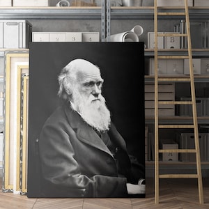 Charles Darwin 1800s | Canvas Wall Art Print | Iconic Posters Prints Paintings Photos Home Decor