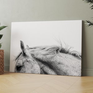 The White Horse | Canvas Wall Art | Iconic Posters Prints Paintings Photos Home Decor