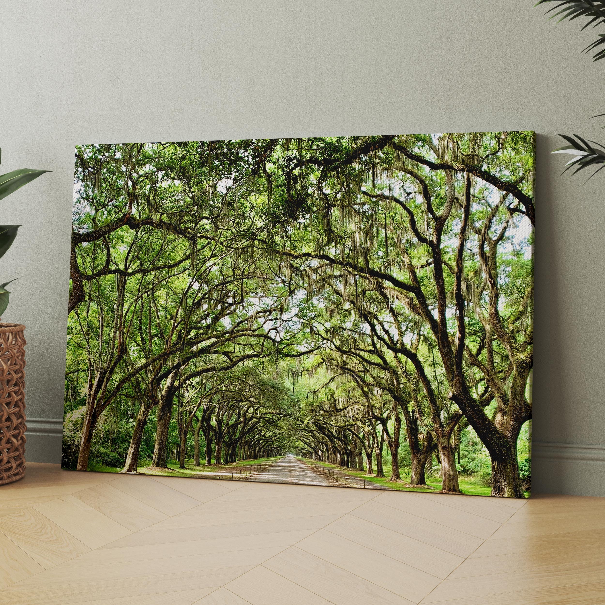 Savannah Georgia Oak Tree Lined Road | Canvas Wall Art | Iconic Posters Prints Paintings Photos Home Decor