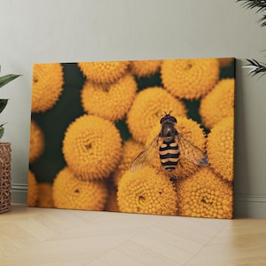 The Bee | Canvas Wall Art | Iconic Posters Prints Paintings Photos Home Decor