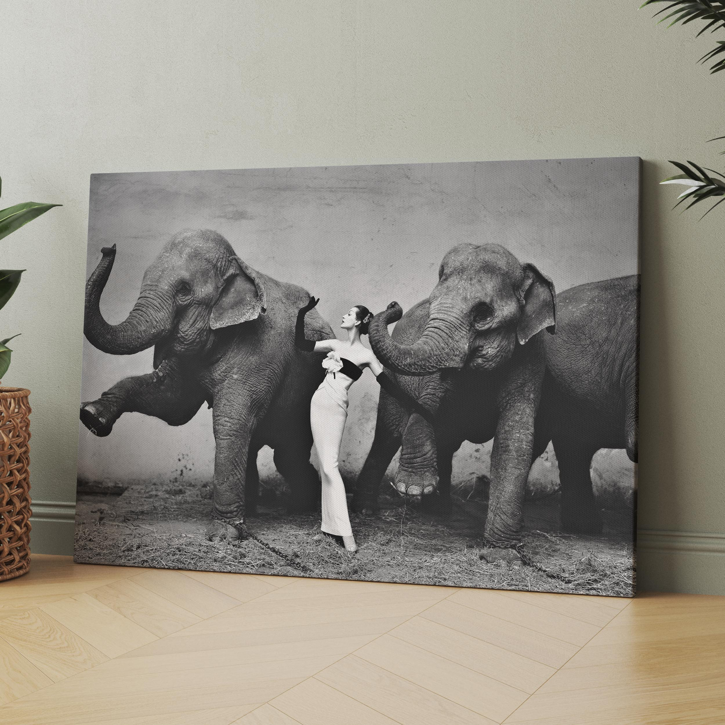 Dovima With Elephants（リチャード アベドン）アートポスター Dovima with Elephants, Evening Dress by Dior, Cirque d'Hiver