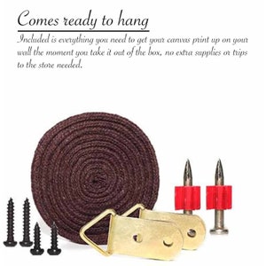 May include: A brown hanging kit for canvas prints. The kit includes a brown rope, two gold-colored D-rings, and two silver-colored hooks with red plastic caps. The kit also includes four black screws.