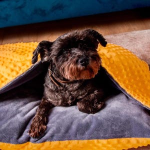 Dog Cave Bed, Pet Pillowcase, snuggly bedding, Whippet Bed, Warm Covered Dog Bed, Cave Pet Bed, Dog Burrow Bed, Gift for pets, Dog Den Bed