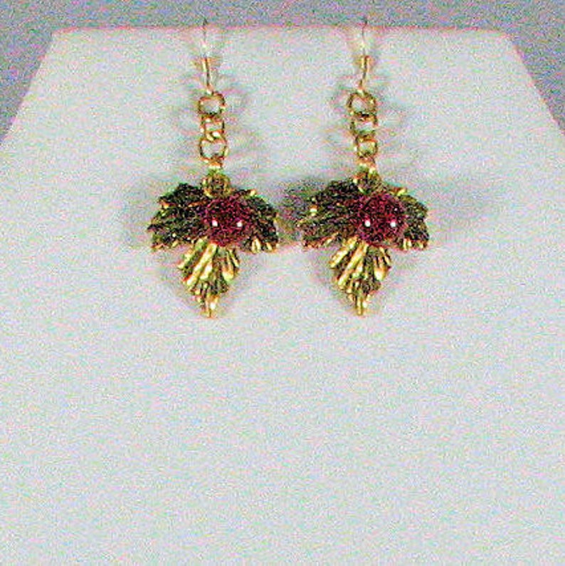 Carnelian Pendant Necklace with Earrings