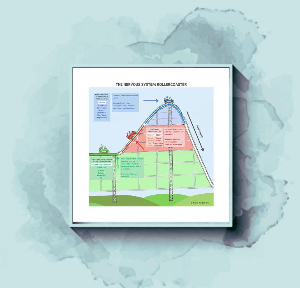 Polyvagal Theory, Nervous System, Regulation, Fight Flight, Nervous ...