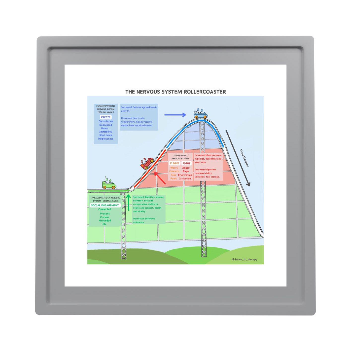 Polyvagal Theory, Nervous System, Regulation, Fight Flight, Nervous ...