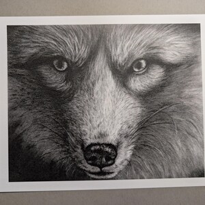 Fox Face Art Print 8x10