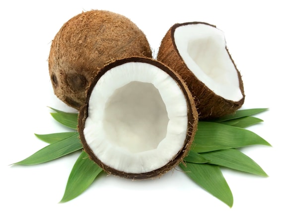 COCONUT Fragrance Oil Candle Scent 1oz 