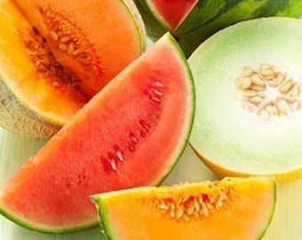 MELON BLAST - 1lb Fragrance Oil Candle Scent