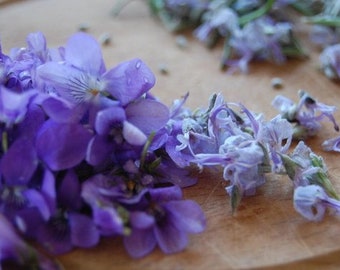 VIOLET & BIRCH - 1lb Fragrance Oil Candle Scent