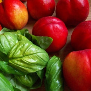 BASILICO E NETTARINA - Candela profumata all&#39;olio da 1 libbra