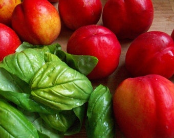 BASIL & NECTARINE - 1lb Fragrance Oil Candle Scent
