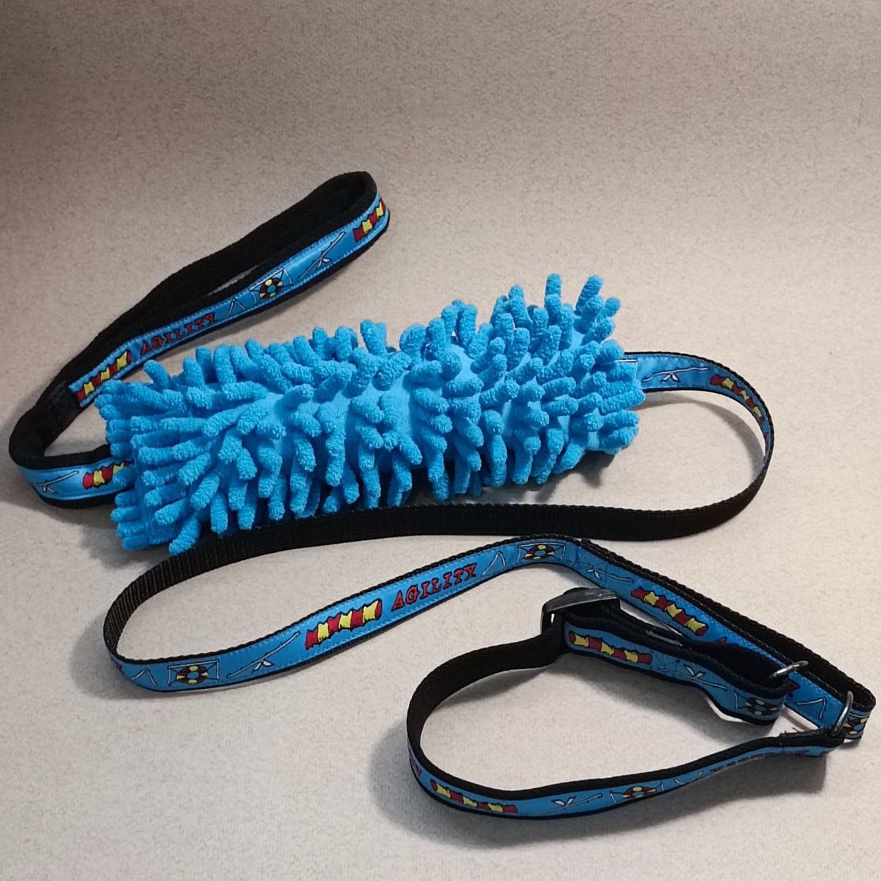 Dog agility leash 2025