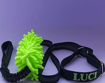 May include: A black dog leash with a bright green, fluffy toy attached. The leash has a black buckle and the toy is shaped like a ball. The leash has the name "LUCI" embroidered on it.