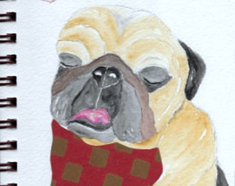 Pug Print - Sketchbook Series - Watercolor & Collage - "Buccaneer"