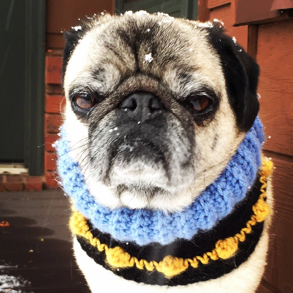 Custom Dog Neck Warmer Made to Order Woofie Warmer You Etsy