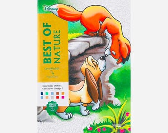 100 (PDF) Libro para colorear de misterio "Lo mejor de la naturaleza", para colorear por números, para adultos y niños.