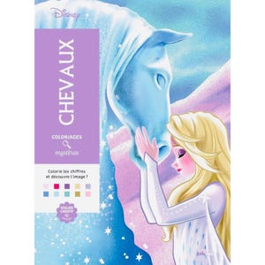 Può includere: Un libro da colorare Disney con Elsa di Frozen e un cavallo bianco. La copertina presenta la parola "CHEVAUX" in grandi lettere bianche su sfondo viola. Il libro contiene anche le parole "Coloriages & mystères".
