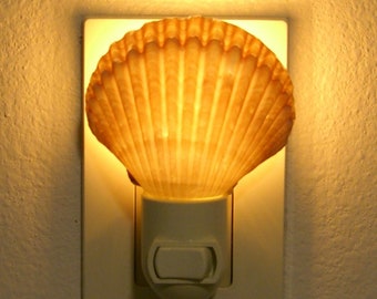 Mexican Deep Scallop Sea Shell Nightlight On Off Switch USA Bedroom, Bathroom, Kitchen, Hallway, Beach House NL-MEX-8