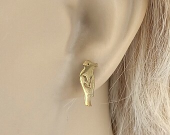 Earrings Parrots Gold Birds Pierced Pet Ear Studs 3461