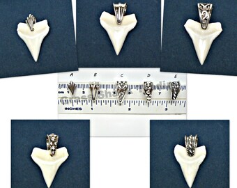 LARGE White Tip Shark Tooth 24mm Necklace Pendant with Sterling Silver Bale Choice of 5 Styles Sharks Teeth