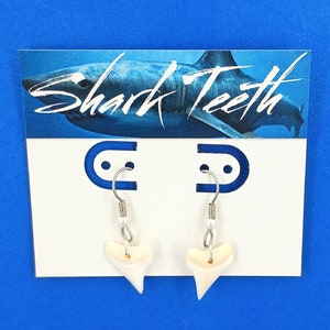 Earrings Shark Tooth Genuine Shark Teeth Dangle Ear Wires Silver Tone with Pearl Beach Jewelry 8372S