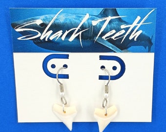 Earrings Shark Tooth Genuine Shark Teeth Dangle Ear Wires Silver Tone with Pearl Beach Jewelry 8372S