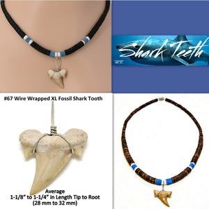 XL Fossil Shark Tooth 18" 21" 24" Necklace Black or Brown Coconut Beads Puka Seashell Surfer Beach SUP