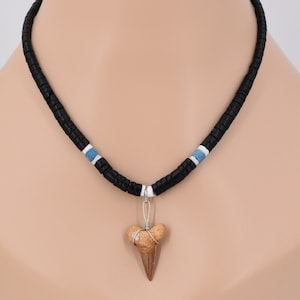 XL Fossil Shark Tooth 19&quot; Necklace Black Coconut Beads Puka Sea Shell Surfer Beach SUP 7068XLM-19