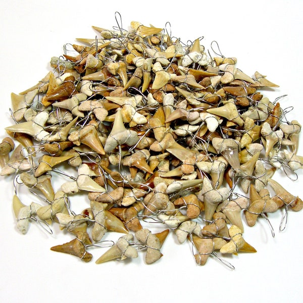 Wired Fossil Sharks Teeth Large 1 inch Necklace Pendants 25, 50, 100 Pc Lots Wire Wrapped Shark Tooth MW-LG-B