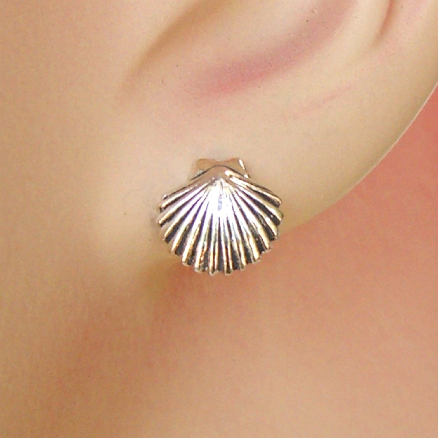ピアス Mini Shell Earring (Silver) 925-Silver-Mini-Nautilus-Shell