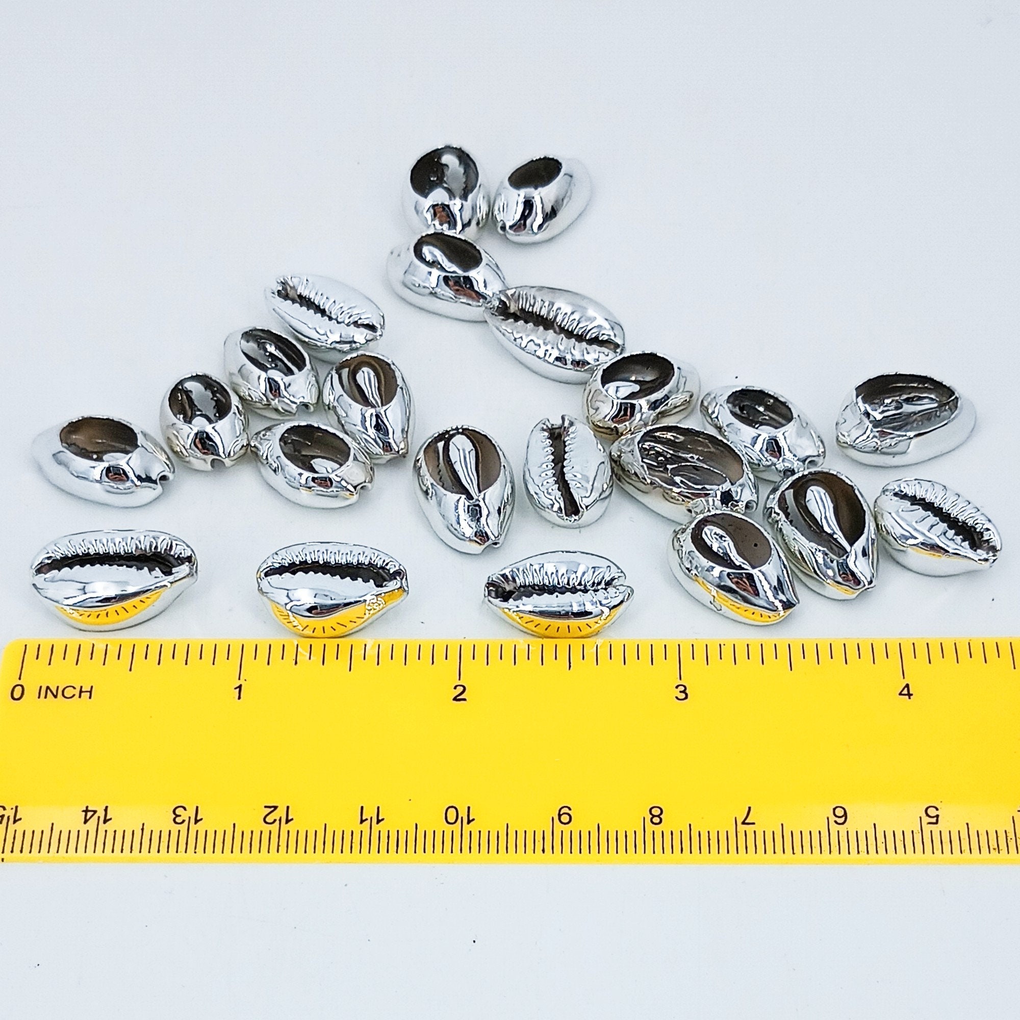 本物のタカラガイの貝殻 シルバーメッキペンダントチャーム