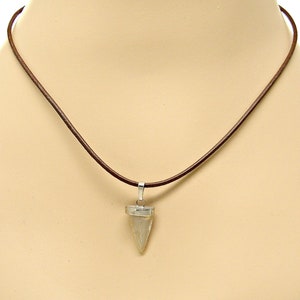 Fossil Shark Tooth Silver Mounted Pendant on a Brown Cord 18-20 inch Necklace SUP Surfer Great Sharks Teeth CO 4