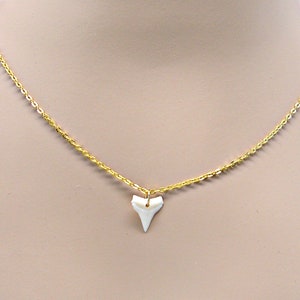 Shark Tooth Chain Choker Necklace, Layering, Surfer, Beach, OBX Genuine Sharks Teeth, Gold or Silver 9005-WSTU