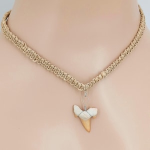 LG Fossil Shark Tooth Necklace Hemp Braided Cord H-77