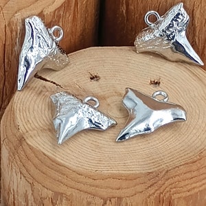 May include: Four silver shark tooth charms with a textured surface. The charms are on a wooden background.