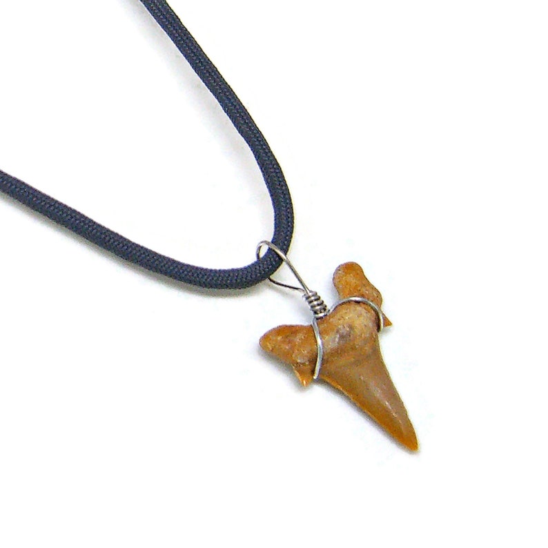 XL Fossil Shark Tooth Necklace Paracord 6 Lengths 14 to 30 Inches 6 Neon Bright Colors Surfer Beach 7195 B