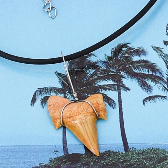 Fossil Shark Tooth Necklace: Silver Wire Wrapped Moroccan Pendant