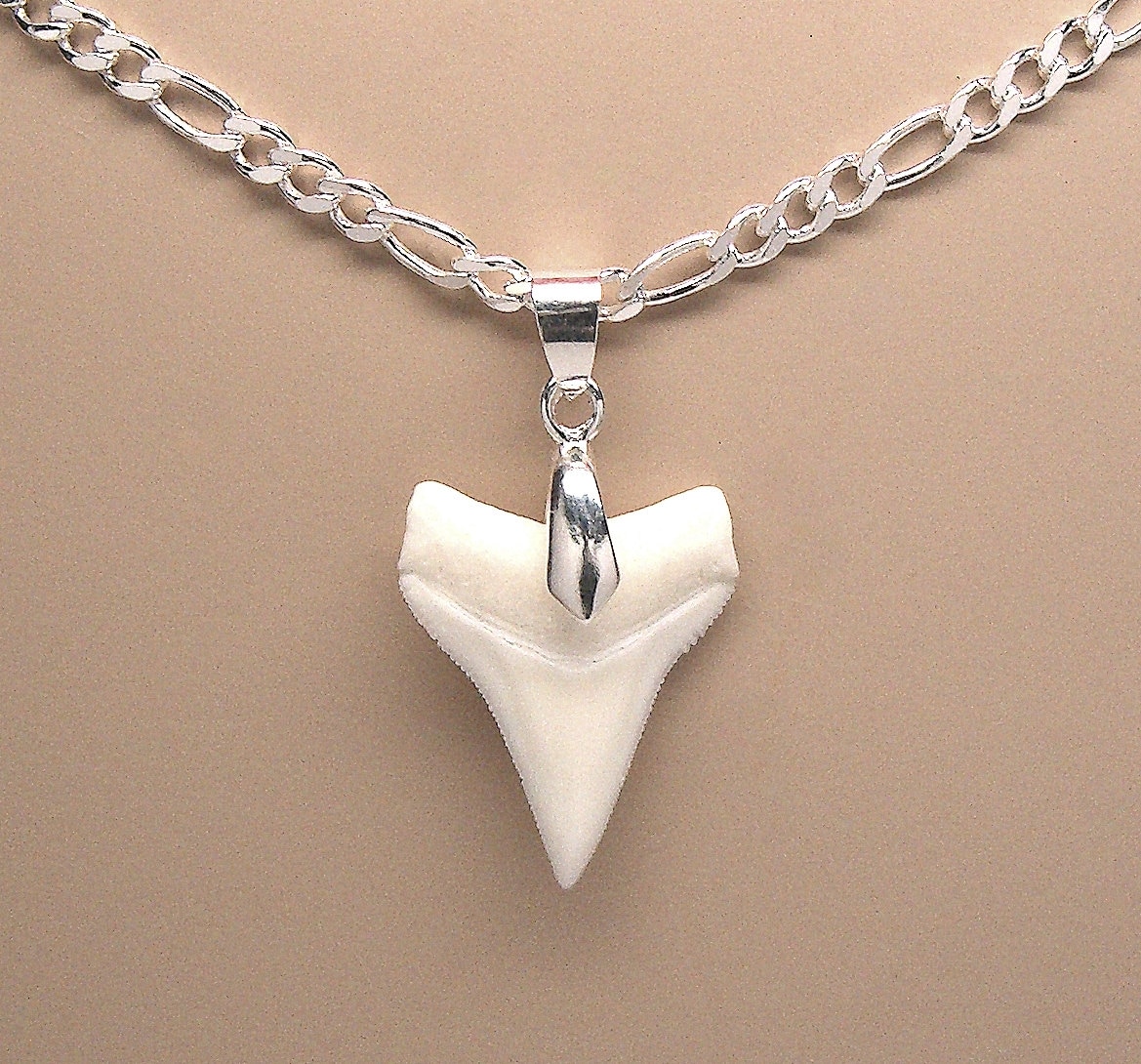 Genuine White Tip Shark Tooth Necklace 24mm Pendant on Etsy