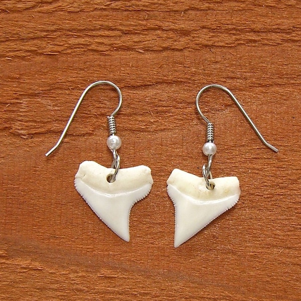 Earrings Shark Tooth Genuine Shark Teeth Dangle Ear Wires Silver Tone with Pearl Beach Jewelry 8372S