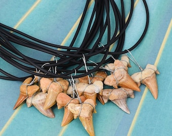 Wholesale 12 Pc Lots Fossil Sharks Teeth Necklaces 19-20.5 Inch Length Surfer Shark Tooth 7204-M-LG-A