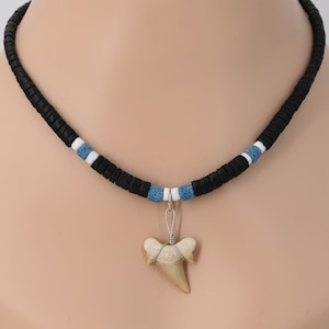 May include: A black beaded necklace with blue and white accents and a shark tooth pendant.