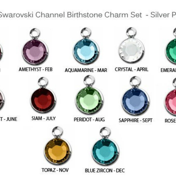 ADD ON. Birthstone Charm Silver Plated Channel Set. Purchase with purchase only. Customize jewelry