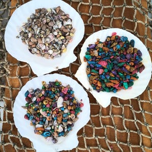 May include: Three white seashells filled with colorful seashells. The seashells are arranged on a brown woven surface. The seashells in the center are iridescent and have a variety of colors, including blue, green, purple, and gold. The seashells on the left and right are natural and have a variety of shapes and sizes.