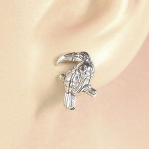 Earrings Toucan Sterling Silver Tropical Bird Minimal Pierced Ear Studs 3458