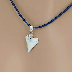 May include: A shark tooth pendant necklace. The pendant is a white, fossilized shark tooth with a silver-colored metal cap. The necklace has a dark blue cord. The necklace is displayed against a neutral background.