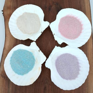 May include: Four seashells filled with different colored sand. The shells are white and the sand is pink, white, blue, and purple.