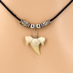 LG 1-inch Fossil Shark Tooth 16-inch Necklace Black Cord Great Sharks Teeth